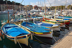 Los pointus, barcos de pesca